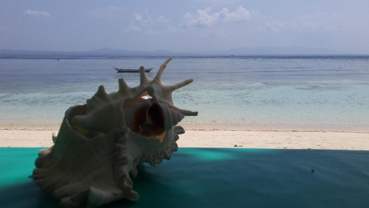 Baclayon Shirley'S Cottage - Pamilacan Island المظهر الخارجي الصورة