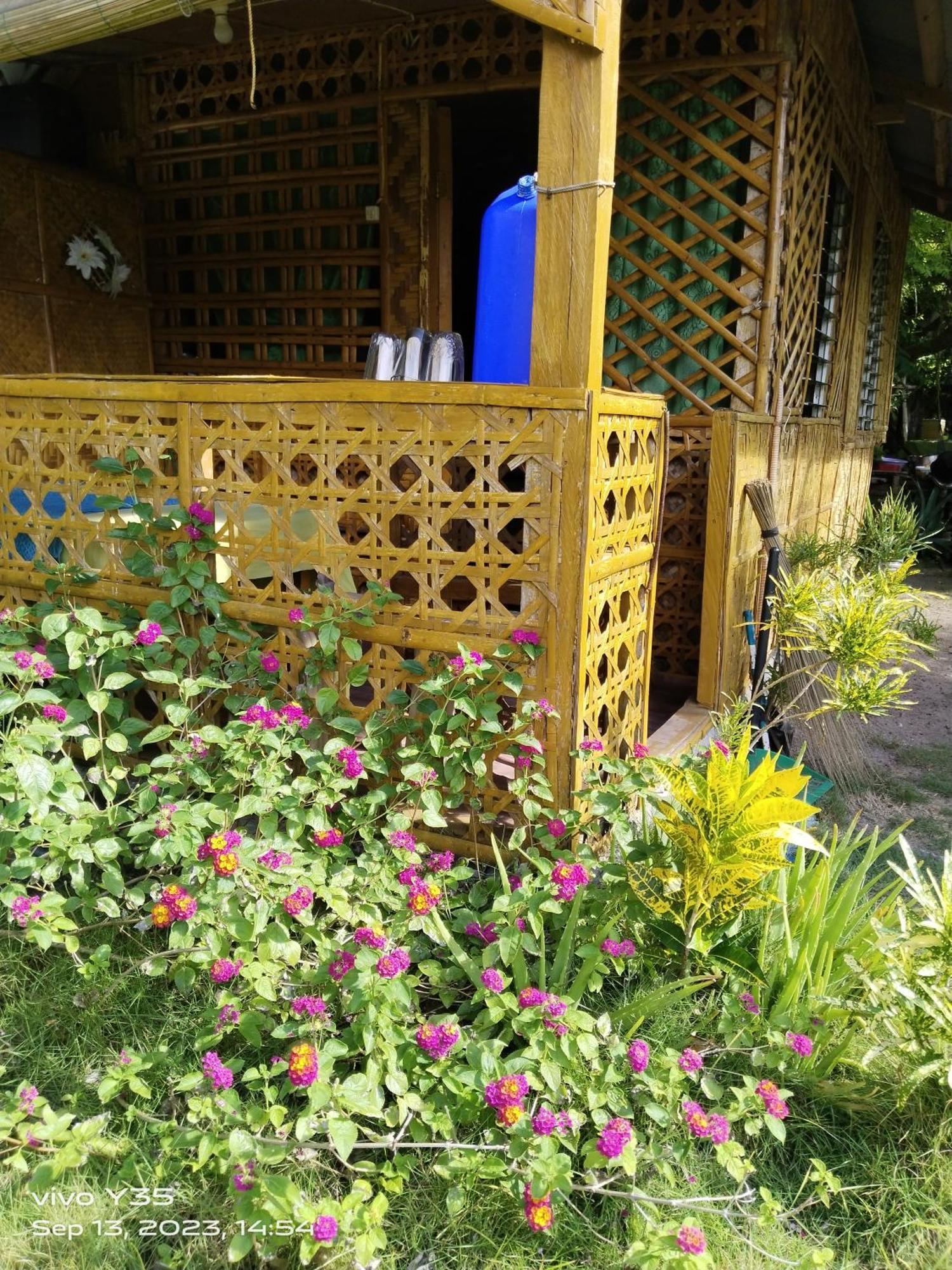 Baclayon Shirley'S Cottage - Pamilacan Island المظهر الخارجي الصورة