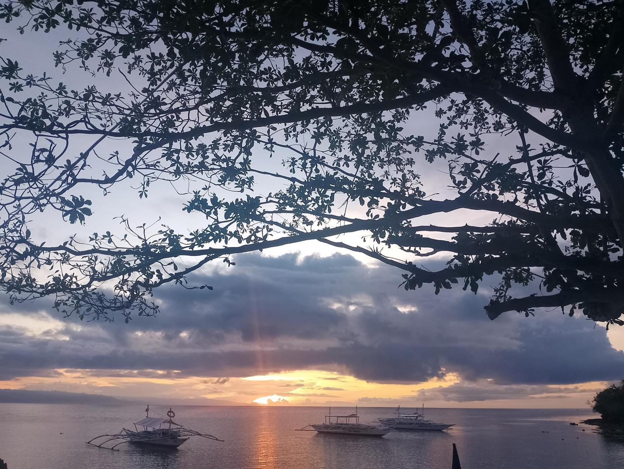 Baclayon Shirley'S Cottage - Pamilacan Island المظهر الخارجي الصورة